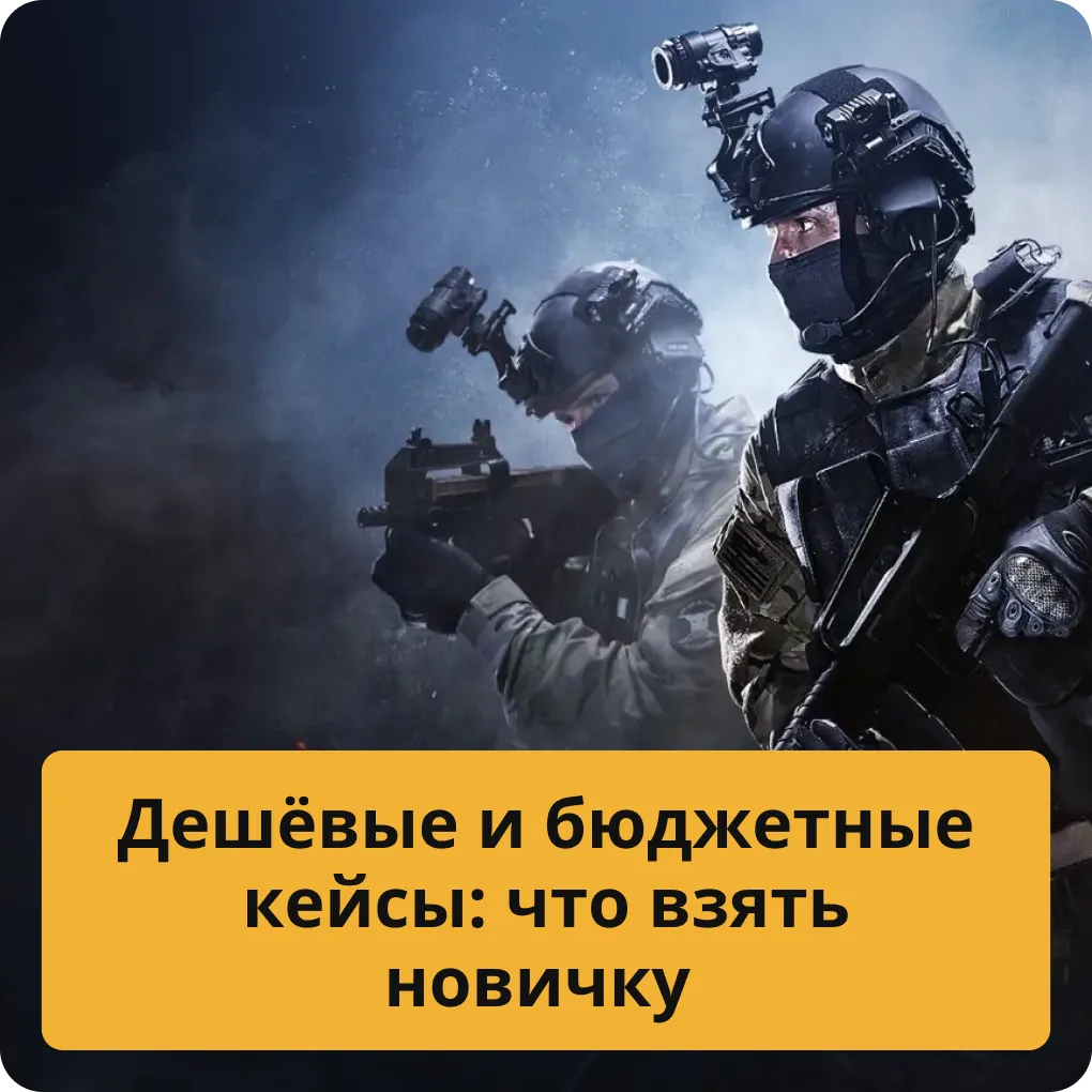 Дешёвые и бюджетные кейсы: что взять новичку